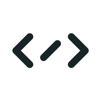 Leistungsicon Development