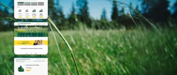 Auf der linken Seite eines Fotos sind drei Screenshots der Website zu sehen, die hohes gr&uuml;nes Gras und verschwommene B&auml;ume im Hintergrund zeigen und ein Outdoor-Thema mit Naturbezug f&uuml;r das Raiffeisen Lagerhaus Marchfeld illustrieren.